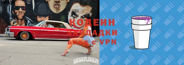 хмурый Каменка