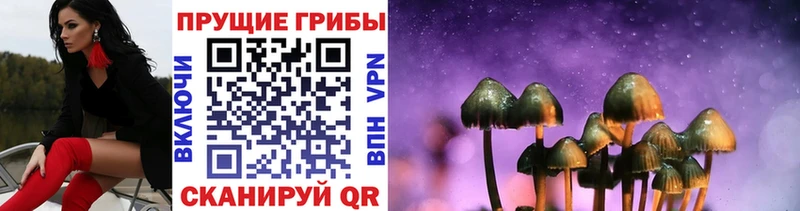 Купить закладки  Волжский  Псилоцибиновые грибы мухоморы 